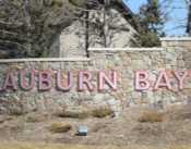 Auburn Bay Real Estate